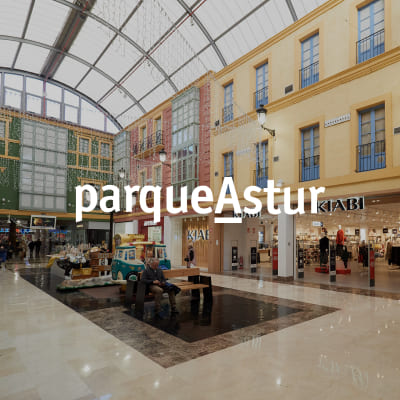 Proyecto de sistemas de video y CCTV para ParqueAstur